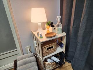 Cozy Zoom-Easy access to UENO ASAKUSA AKIHABARA R3 - 3