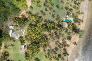 Beachfront Property in Palenque - Paradise! - - 4