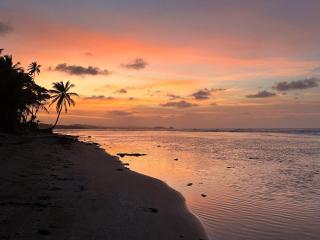 Beachfront Property in Palenque - Paradise! - - 9