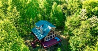 Charming Cabin with Incredible Mountain Views - Bostic - 6
