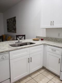 Orlando Family Getaway Near Walt Disney World - 2