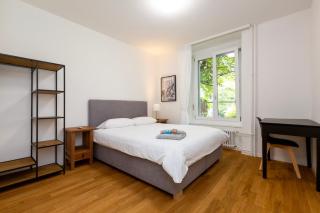 KAYA Zurich Apartment 1A - Downtown 2BR Deluxe Apt - Zurigo - 1