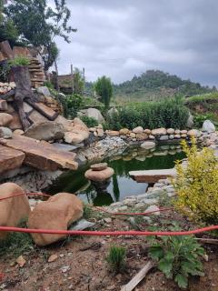 HOTEL DEV CHHAYA - 8