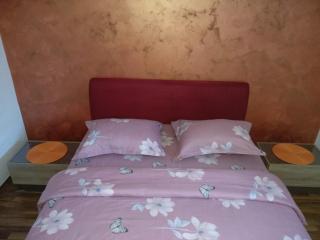 Apartments Popovic - Podgorica - 6