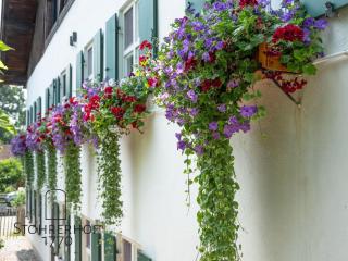 Wunderschönes Ferienhaus mit Kamin in Riederau - Dießen am Ammersee - 3