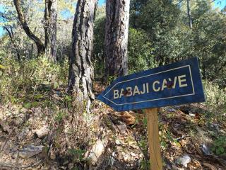 Dwarahat Village Farmstay- Babaji's Cave - 1