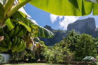 Iihi House - Bora Bora - 4