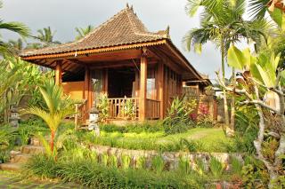 Belvilla Moksha Ceking Rice TerraceNearUbud Jungle Swing - Ubud - 0