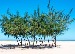 Ocean Beach Resort & SPA - Malindi - 8