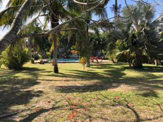 Jardín Jolie - - 7