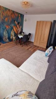 City nest - Târgu Mureș - 3