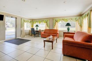 OYO Hotel Douglas GA US-441 - Douglas - 3