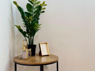 Apartament Nideckiego - 5