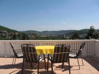 Haus Holzheimer Mit Blick Auf Die Rhön - Bad Kissingen - 0