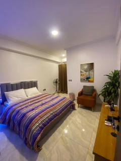 AJ's Exclusive Apartment - 3