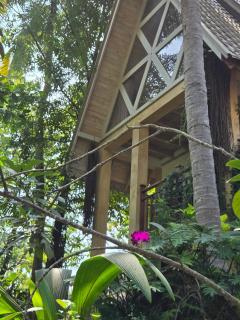 SURF N SUN - Arugam Bay - Arugam Bay - 4