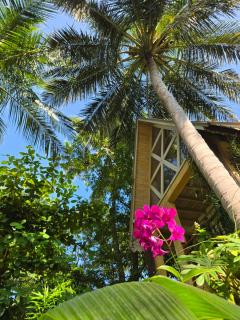 SURF N SUN - Arugam Bay - Arugam Bay - 3