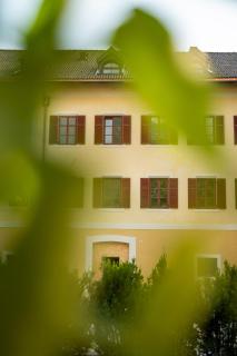 Castel Sallegg Suites Adults only - Caldaro - 2