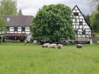 Kulturdenkmal Appenhof - Klipphausen - 0