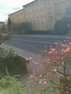 Pirc apartment on Dunajska street - Liubliana - 1