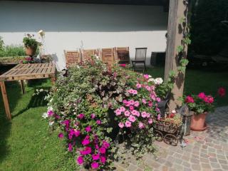 Haus Riedmann Christine - Hopfgarten im Brixental - 2