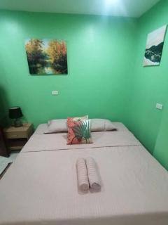 Andresas Place - Loboc - 7