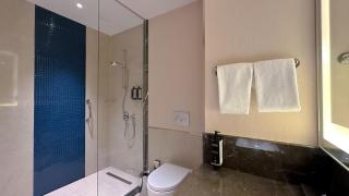 Tbilisi Philharmonic Hotel by Mercure - Tiflis - 6