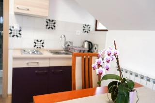 Studio Apartman Šafranko - 0