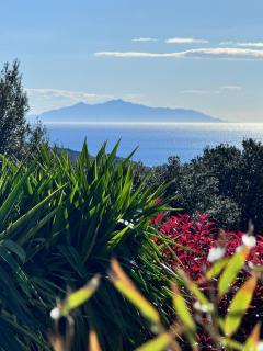 Gîte indépendant dans villa entre mer et maquis - 0