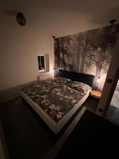 Apartmán Lesní zátiší Marlenka - Dolní Chřibská - 5