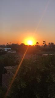 Green life - Luxor - 1
