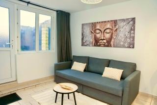 ValenStay - Logement Stade du Hainaut avec jardin - Valenciennes - 5