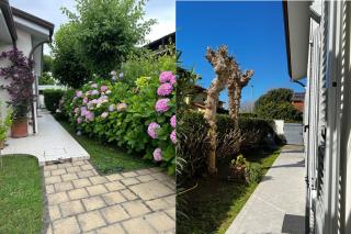 Villetta degli Olmi - Relax e Mare - Forte dei Marmi - 2
