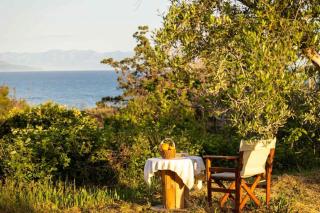 Petalidi Sunny Home One - Charming Garden Nest - Petalidi - 1