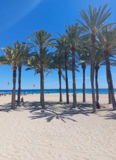 Luxury renovated 2-bedroom apartment with pool - Villajoyosa - 3