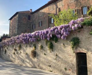 Principessa - Panicale - 1