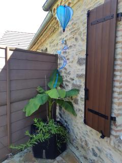 Le gîte LE MIEL du Périgord vert - Dussac - 3