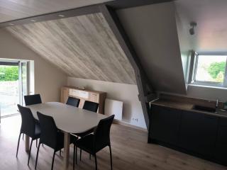 La Bourboule - Étoile des neiges - Appartement refait à neuf - 2 chambres wifi - randonnée la Roche des Fées - La Bourboule - 1