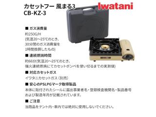 Hakone 100-Year Japanese Garden Residence - 9