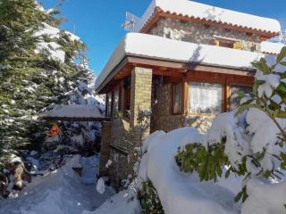 Livadi Chalet Arachova The perfect family vacation - Arachova - 0