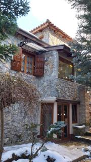 Livadi Chalet Arachova The perfect family vacation - Arachova - 2