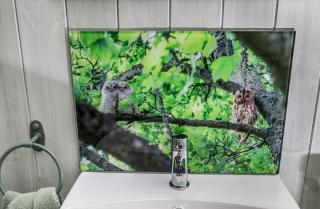 LetAway - Tawny Owl Hut Westerdale nr Castleton North Yorkshire - Westerdale - 1