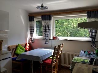 Ferienwohnung-Momo-Villa-Strawalde-Altenau-Oberharz - Altenau - 5