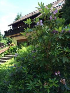 Ferienwohnung-Momo-Villa-Strawalde-Altenau-Oberharz - Altenau - 4