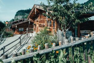 Alpzitt-Chalets - Burgberg - 3