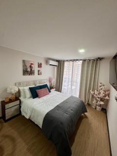 Paris en Santiago, un departamento de lujo - Santiago - 0