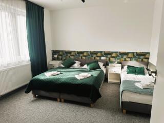 Apartamenty Wczasowa - komfort z narciarnią - Kudowa-Zdrój - 1