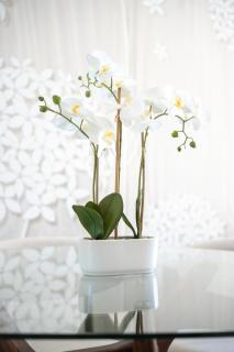 Luxueux Appartement avec Jardin Suspendu Vue Mer 10 min du Palais Cannes - 2