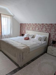 Syrius City Apartament - Timişoara - 0
