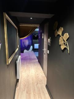 Le studio secret - Saint-Dié-des-Vosges - 5